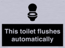 this-toilet-flushes-automatically~